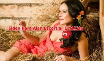 İstenilen Her Şeye Tamam Diyen Ucuz ve Yeni Escort